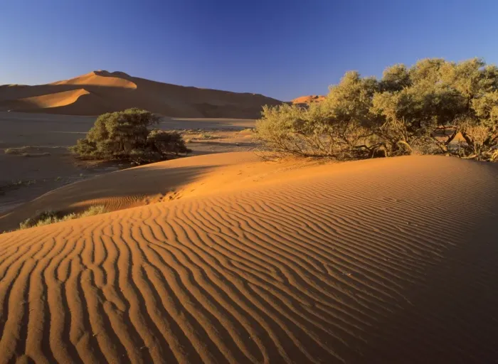 Framed Print : Namib desert red dunes at Sossusvlei with sand ripples Namib Naukluft Park, Namibia, Africa Framed Print : Namib desert red dunes at Sossusvlei with sand ripples Namib Naukluft Park, Namibia, Africa