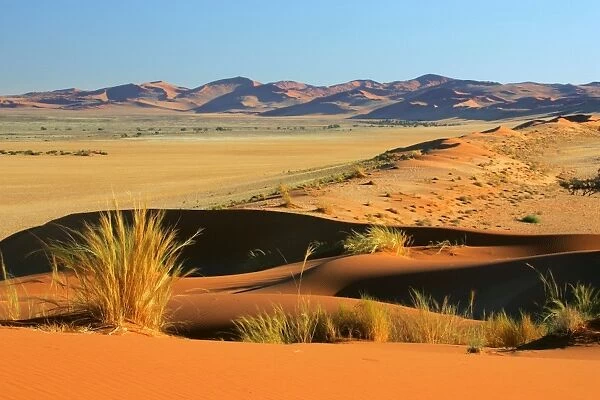 Namib desert view from Elim Dune into the Dune Namib Namib Naukluft Park, Namibia, Africa