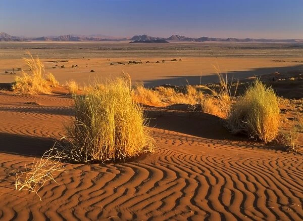 Namib desert view from Elim dune towards Sesriem canyon Namib Naukluft Park, Namibia, Africa