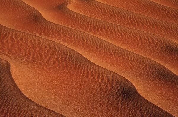 Namib-Naukluft Park - structural forms in the sand of the desert