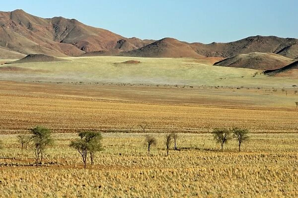 Namib Rand Mountains and savanna Namib Rand Nature Reserve, Namibia, Africa
