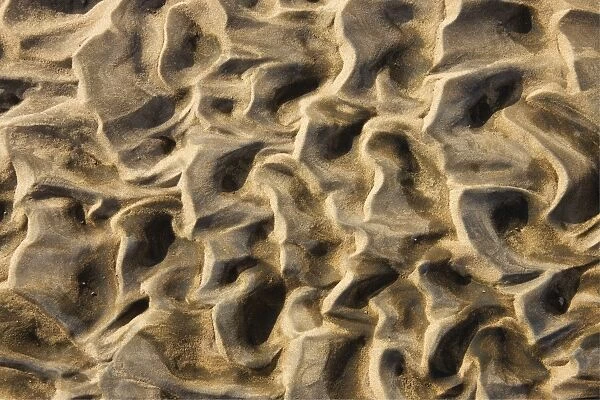 Namibia - Structural forms in the sand of a dry riverbed. Namib Desert, Skeleton Coast Park, Namibia