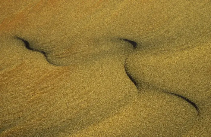 Framed Print : Namibia - Structural forms in the sand of the Namib Desert. Namib-Naukluft Park, Namibia Framed Print : Namibia - Structural forms in the sand of the Namib Desert. Namib-Naukluft Park, Namibia