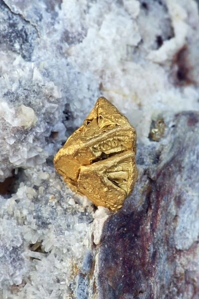 Native Gold - Nevada
