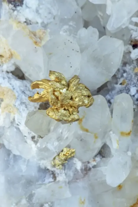Framed Print : Native Gold on Quartz - Nevada