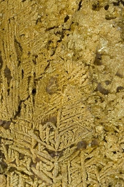 Natural Gold Specimen - Dendritic crystals