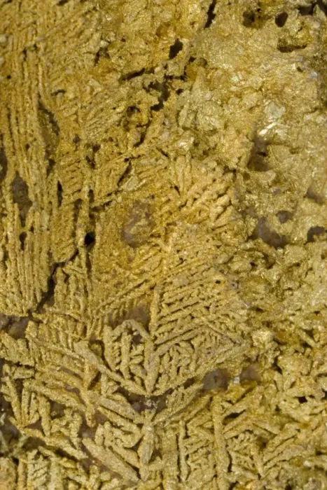 Framed Print : Natural Gold Specimen - Dendritic crystals - Ebagoola-Cape York- Queensland - Australia Framed Print : Natural Gold Specimen - Dendritic crystals - Ebagoola-Cape York- Queensland - Australia