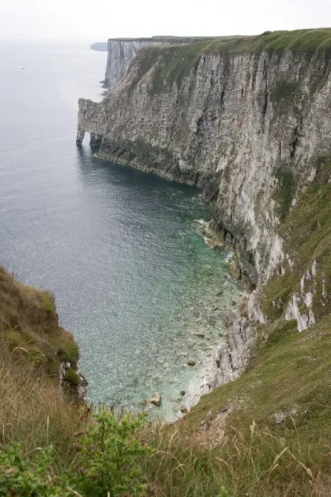 Framed Print : Nesting gannets and other seabirds Bempton Cliffs RSPB Nature Reserve Flamborough Head East Riding of Yorkshire UK Framed Print : Nesting gannets and other seabirds Bempton Cliffs RSPB Nature Reserve Flamborough Head East Riding of Yorkshire UK