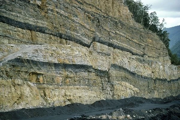 New Zealand - coal bearing strata in quartz sandstone