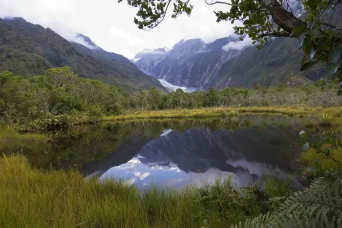Framed Print : New Zealand - Franz Josef glacier reflected in Peter's Pool. Westland National Park - South Island - New Zealand Framed Print : New Zealand - Franz Josef glacier reflected in Peter's Pool. Westland National Park - South Island - New Zealand