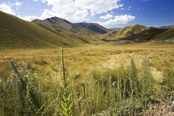 New Zealand - gently rolling hills and wide open spaces, Waitaki District - South Island