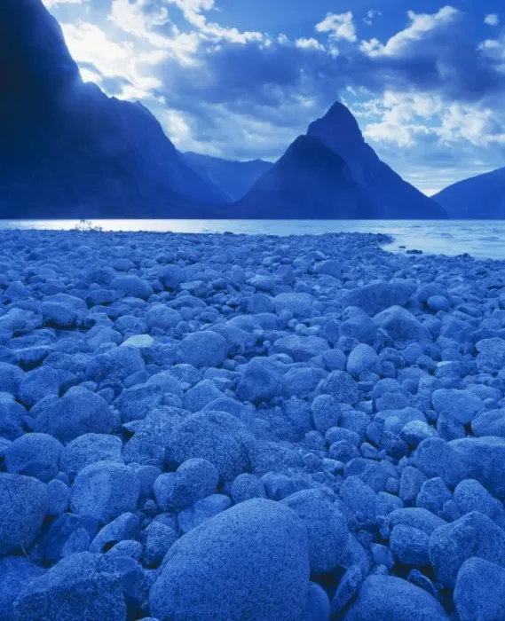 Framed Print : New Zealand JPF 7924 Fiordland National Park, Milford Sound, South Island. © Jean-Paul Ferrero / ARDEA LONDON Framed Print : New Zealand JPF 7924 Fiordland National Park, Milford Sound, South Island. © Jean-Paul Ferrero / ARDEA LONDON