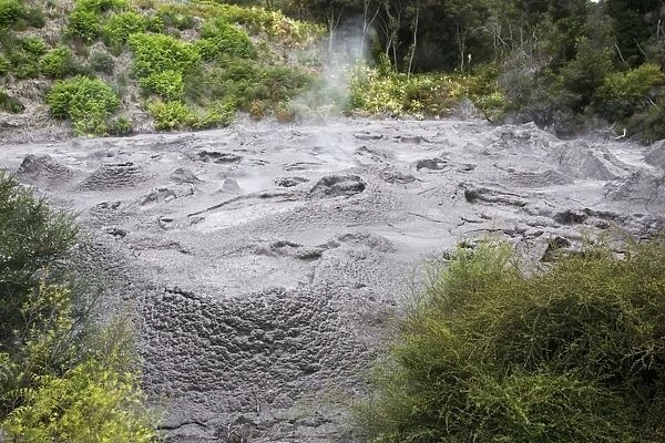 Ngamokaiakoko mud pools. Te Puia Whakarewarewatanga Thermal Valley - Rotorua - New Zealand