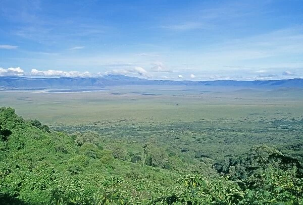 Ngorongoro Conservation Zone, Ngorongoro Crater (World Heritage Site). Tanzania, Africa