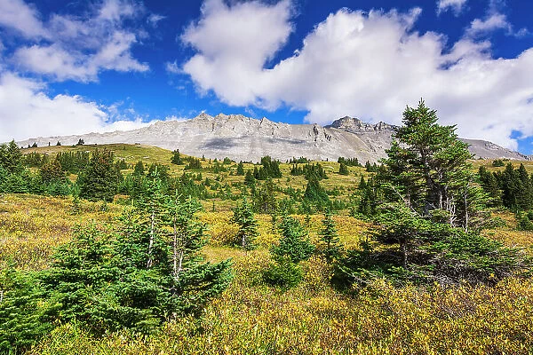 Nigel Peak from Wilcox Ridge, Columbia Icefields, Jasper National Park, Alberta, Canada Date: 25-05-2021