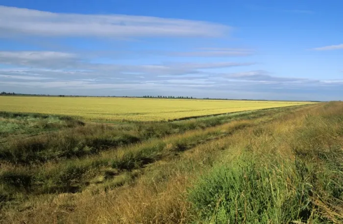 Framed Print : Norfolk UK - scenic fenland