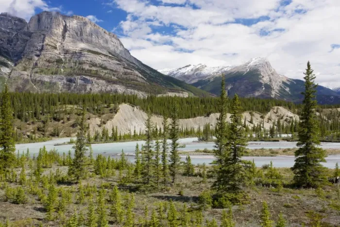 Framed Print : North Saskatchewan River valley at Saskatchewan Crossing, with Whitegoat Peak beyond; Banff National Park, Rockies, Canada Framed Print : North Saskatchewan River valley at Saskatchewan Crossing, with Whitegoat Peak beyond; Banff National Park, Rockies, Canada