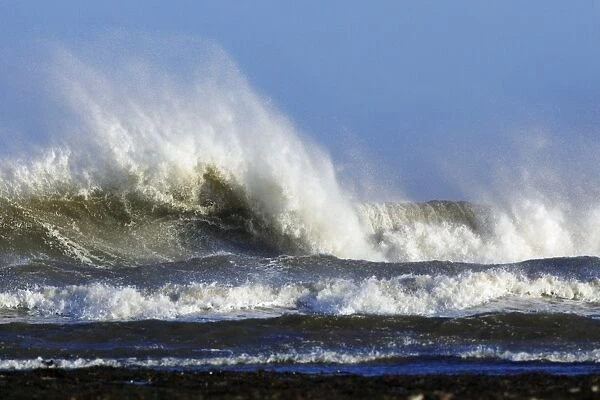 North Sea - waves and surf caused by autumn storm. Northumberland, UK