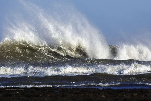 North Sea - waves and surf caused by autumn storm. Northumberland, UK