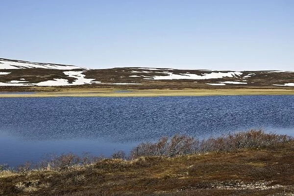 Norway - turndra landscape at edge of Varanger Fjord, North Norway