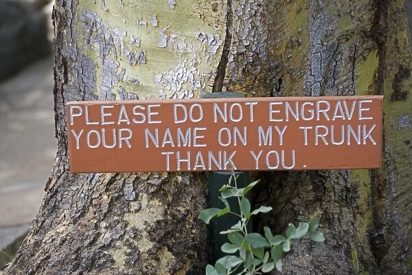 Notice on Tree trunk - Please do not engrave your name on my trunk'. Mzima Springs, Tsavo West National Park, Kenya, Africa