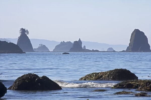 Offshore Sea Stacks, Third Beach Olympic National Park, Washington State, USA LA001547