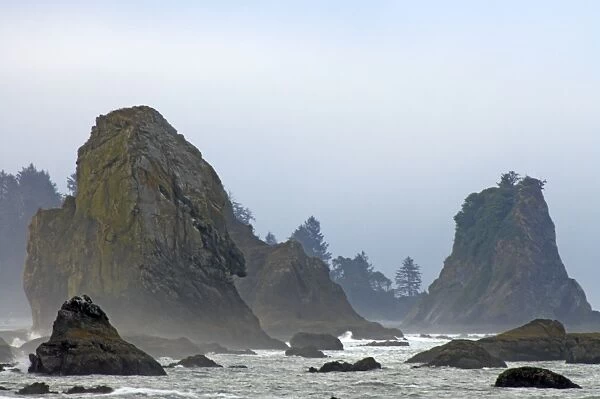 Offshore Sea Stacks. Third Beach Olympic National Park. Washington State, USA LA001554