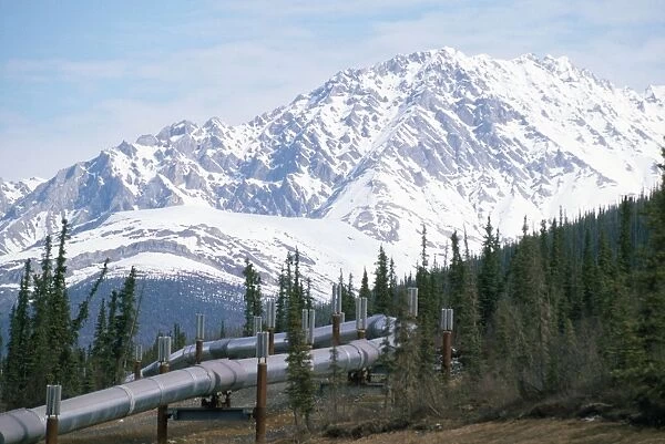 Oil Pipe Line Alaska