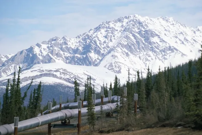 Framed Print : Oil Pipe Line Alaska Framed Print : Oil Pipe Line Alaska