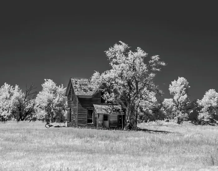 Framed Print : Old deserted farm house with plow Date: 22-06-2009