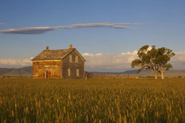 Old Farm house on prairie - southern Wyoming - July - USA