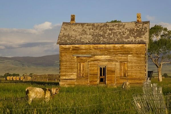 Old Farm house on prairie - southern Wyoming - July - USA