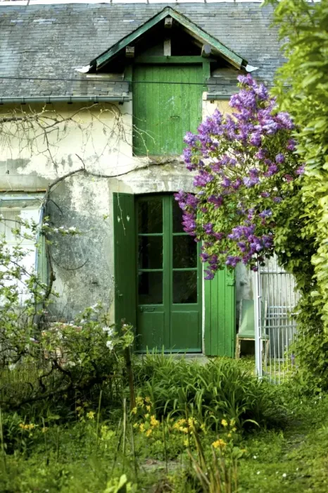 Framed Print : Old House and garden France Framed Print : Old House and garden France
