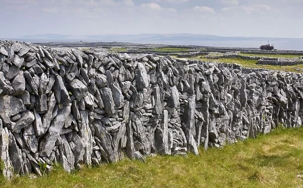 Old limestone drystone wall on Inisheer with small fields and the wreck of the Plassey beyond; the Burren, western Eire