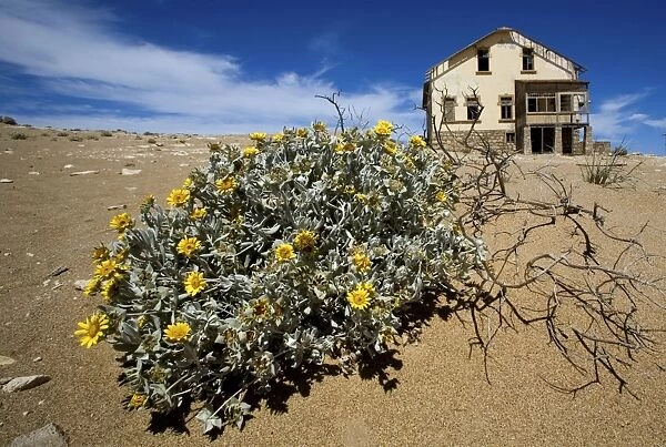 Old Mining Town near Luderitz called 'Ghost Town' - Namibia - Africa