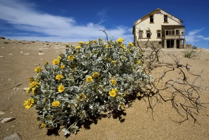 Framed Print : Old Mining Town near Luderitz called Ghost Town - Namibia - Africa Framed Print : Old Mining Town near Luderitz called Ghost Town - Namibia - Africa