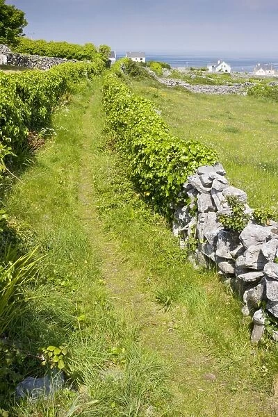 Old pathway through small limestone-walled old fields on Inisheer the Burren, western Eire