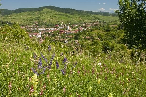 Old Romanian village, Teaca  /  Teke, views from a flowery hay meadow. Romania
