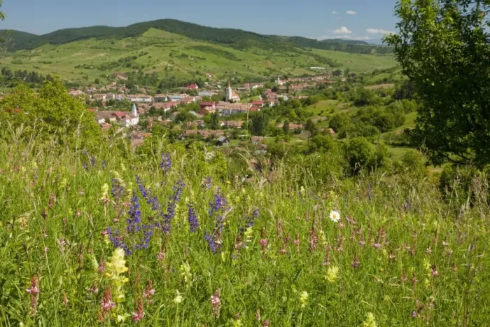 Framed Print : Old Romanian village, Teaca / Teke, views from a flowery hay meadow. Romania Framed Print : Old Romanian village, Teaca / Teke, views from a flowery hay meadow. Romania