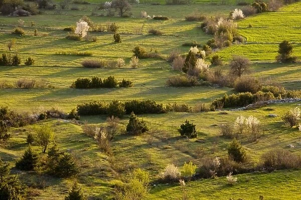 Olf field patterns and boundaries on a spring evening; at Cimikoy near Akseki, Taurus Mountains, south Turkey