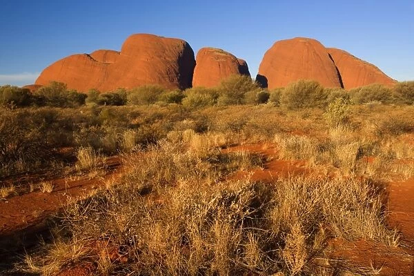 Olgas - Kata Tjuta - famous sandstone rocks just before sunset - Uluru-Kata Tjuta National Park, World Heritage Area, Northern Territory, Australia Aboriginals of the Anangu tribe call The Olgas Kata Tjuta