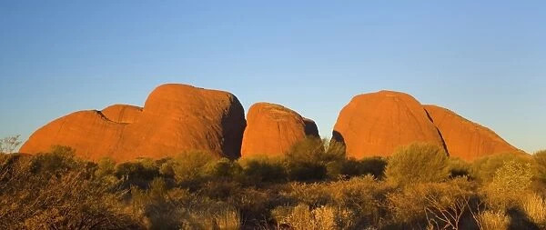 Olgas - Kata Tjuta - famous sandstone rocks just before sunset - Uluru-Kata Tjuta National Park, World Heritage Area, Northern Territory, Australia