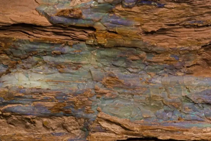 Framed Print : Opalized Wood - Rainbow Ridge Opal Mine - Denio-Nevada, USA - Mid-Miocene - 15 million years - coniferous tree Framed Print : Opalized Wood - Rainbow Ridge Opal Mine - Denio-Nevada, USA - Mid-Miocene - 15 million years - coniferous tree