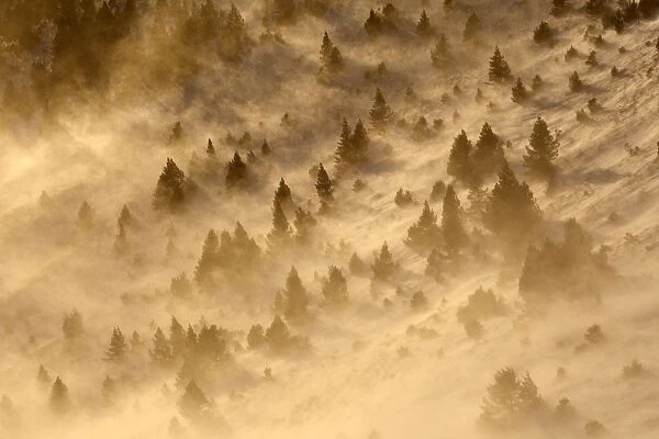 Ordesa Valley - dust being blown. Ordesa y Monte Perdido National Park - Pyrenees - Spain