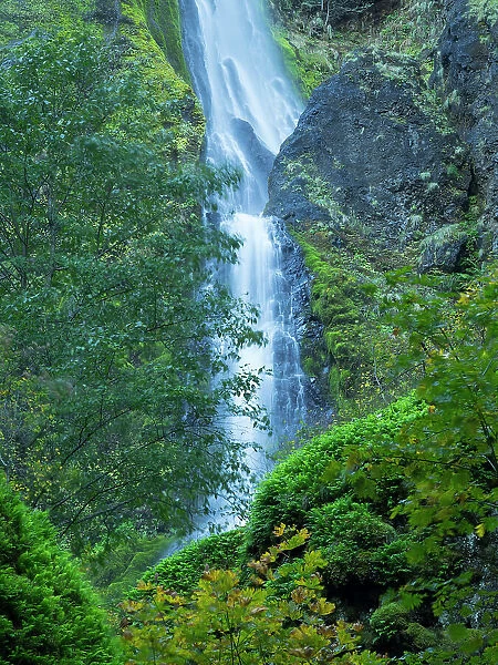 Oregon, Columbia River Gorge National Scenic Area, Starvation Creek Falls Date: 28-10-2020