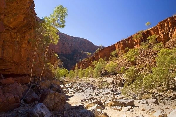 Ormiston Gorge - towering red cliff walls and a picturesque waterhole make Ormiston Gorge to one of the most spectacular scenery in the West MacDonnell Ranges