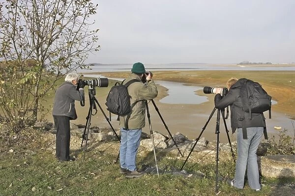 Ornithologist  /  Birdwatchers and photographers