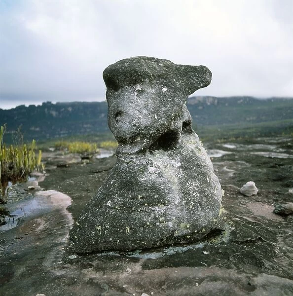 Oso rock (the bear), Auyantepui summit (Devil's Mountain), Canaima National Park, Estado Bolivar, Venezuela, South America