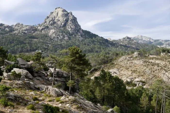 Framed Print : Ospedale Massif and Forest - Corsica Framed Print : Ospedale Massif and Forest - Corsica