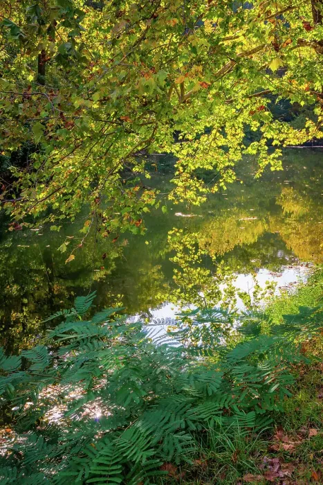 Framed Print : Otter Lake, Blue Ridge Parkway, Virginia, USA. Date: 04-10-2018 Framed Print : Otter Lake, Blue Ridge Parkway, Virginia, USA. Date: 04-10-2018